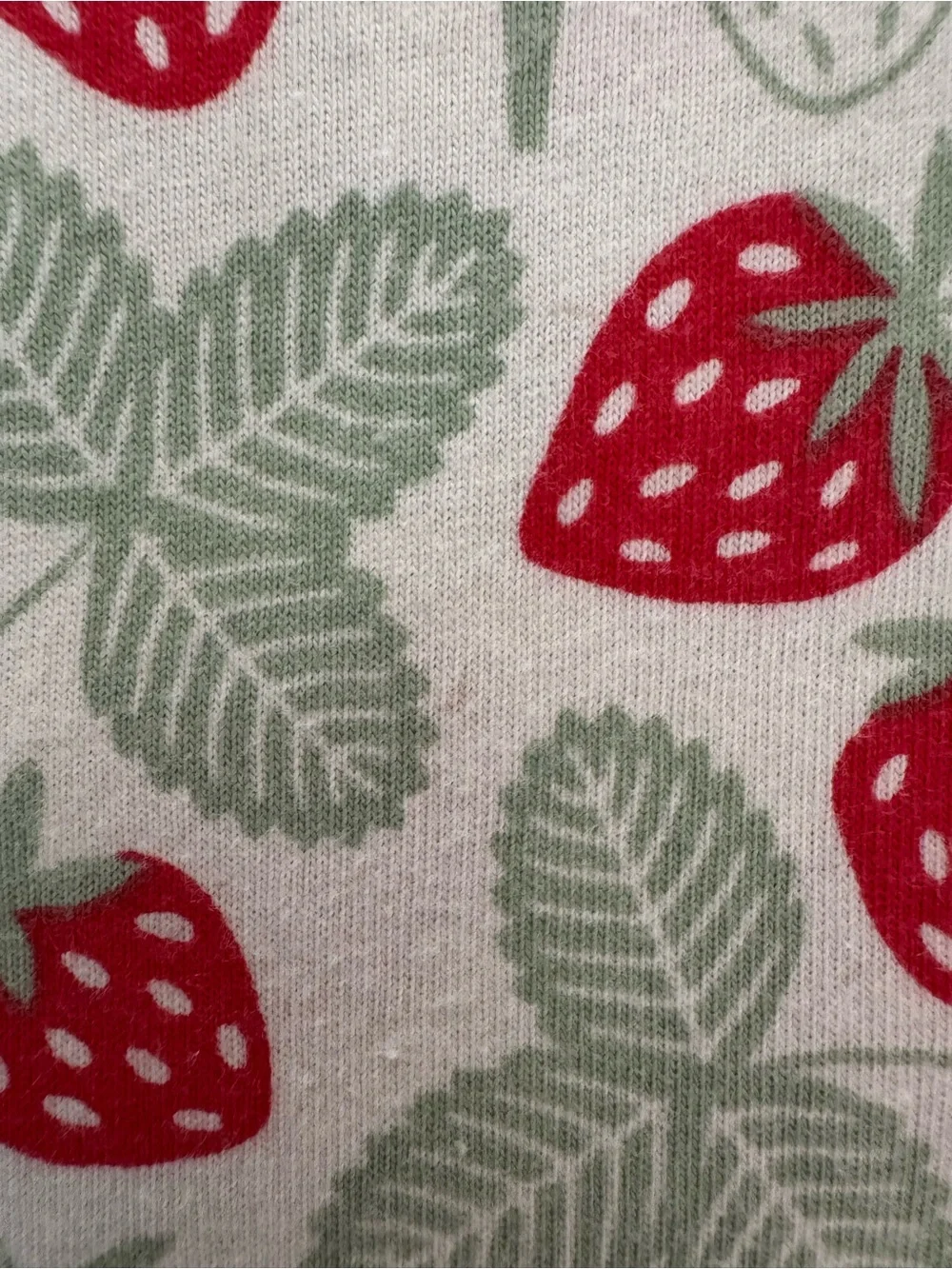 WINTER WATER FACTORY strawberries organic cotton tee sz 8